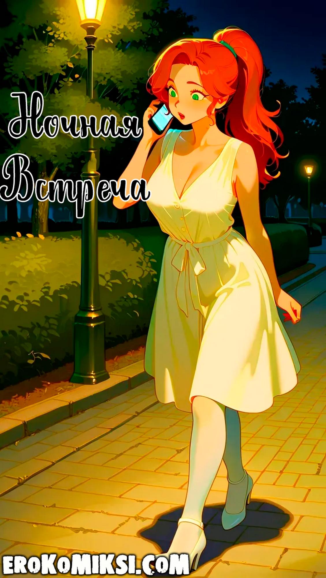00-1 Порно комикс Ночная встреча.