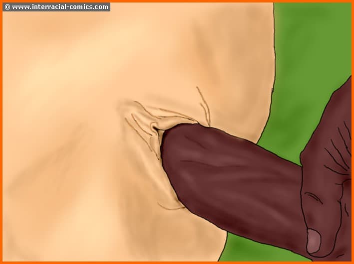 1525 Комикс для взрослых "Домашние ззабавы".