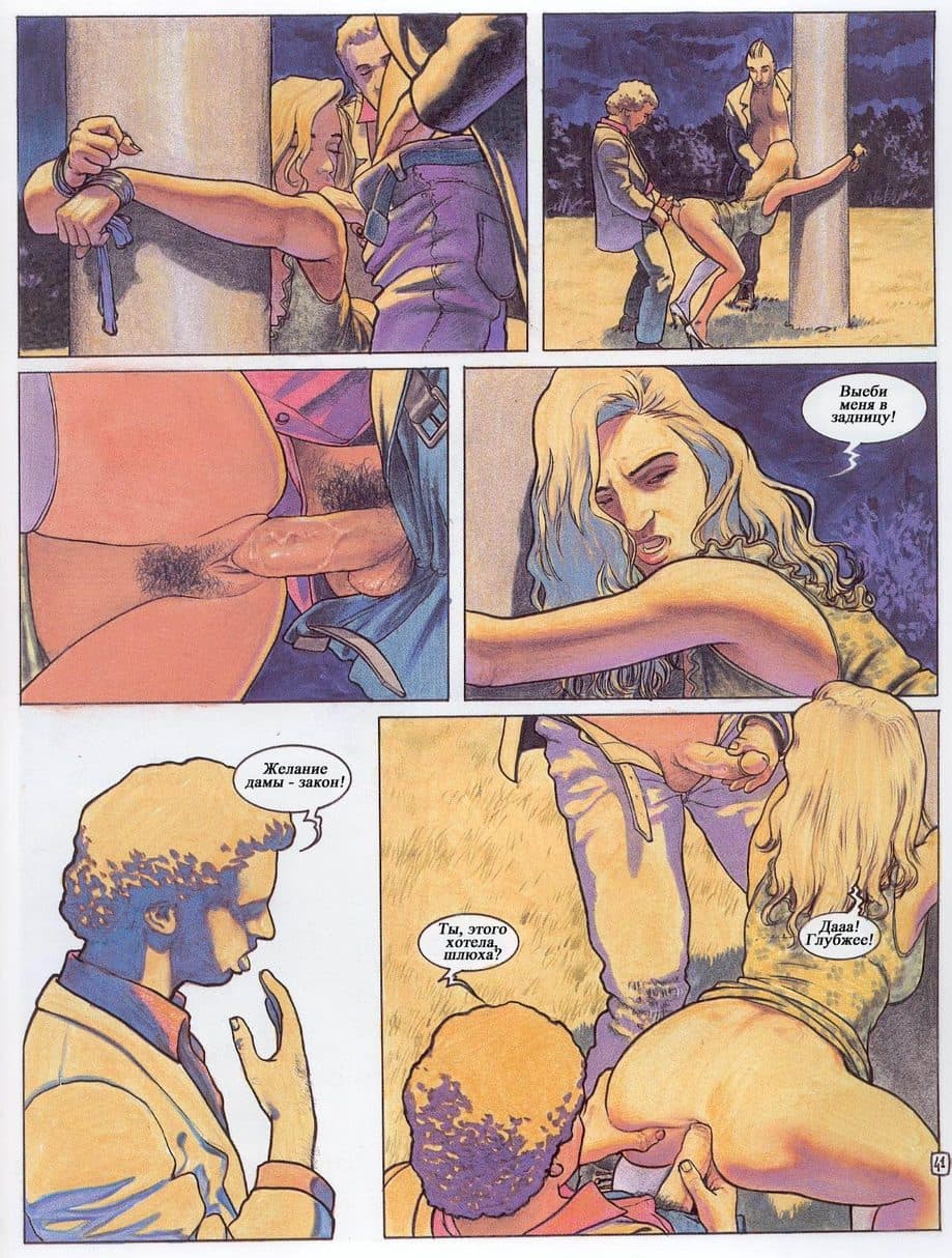 441 Порнографический комикс "Похождения Елены. Часть третья".