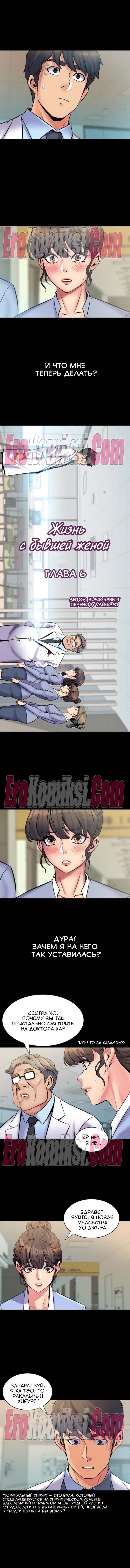 33-kopiya-12 Порно комикс Жизнь с бывшей женой. Часть 1-10.