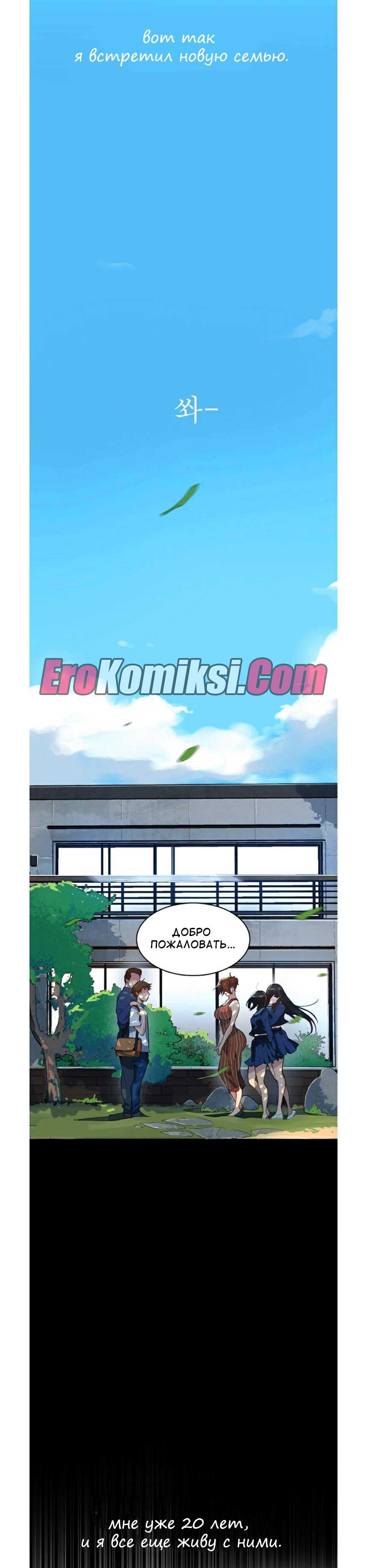 010-52 Порно комикс "Тайное обучение. Часть 1".