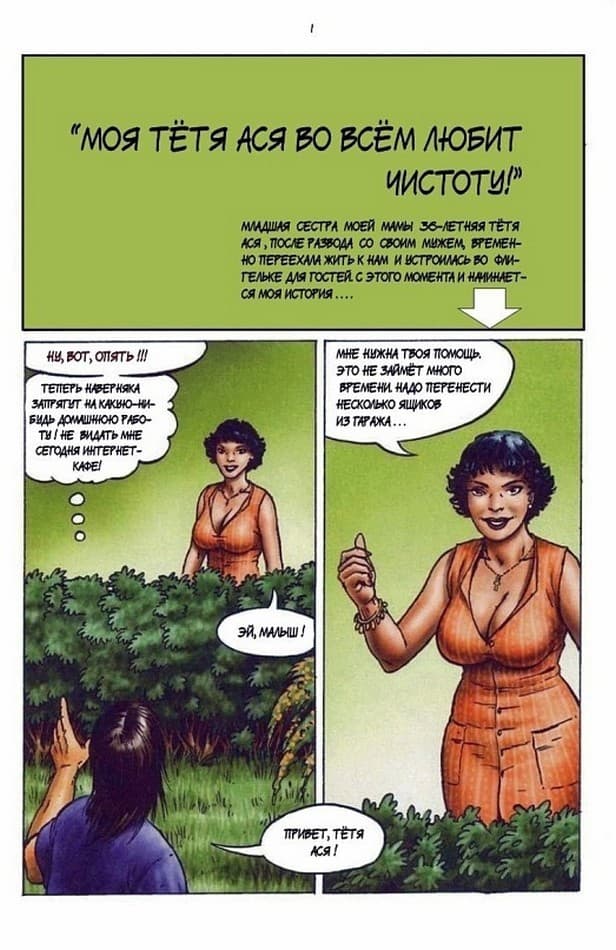 Порно комикс "Моя тетя Ася во всем любит чистоту".
