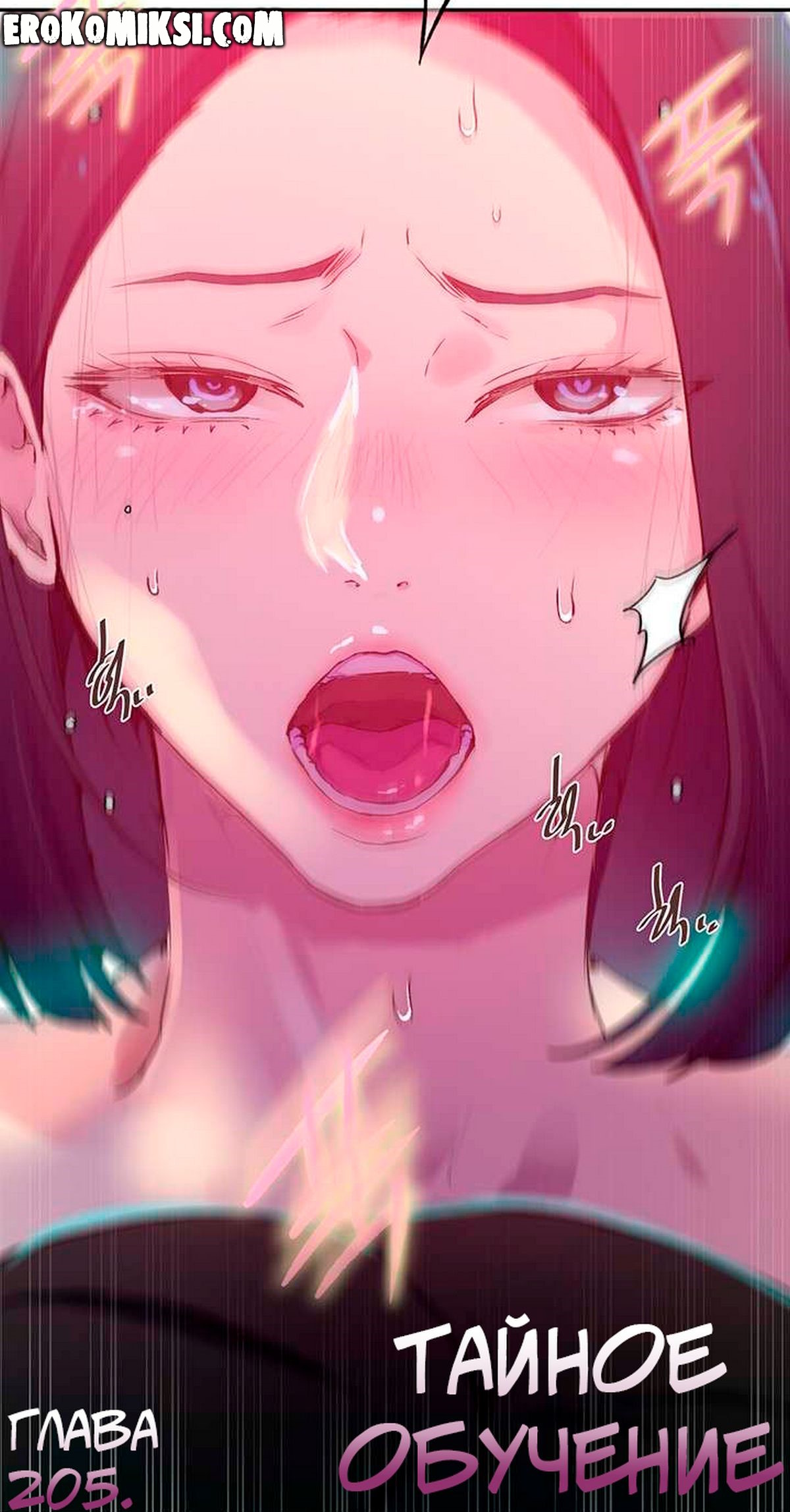 Порно комикс Тайное обучение. Часть 205.
