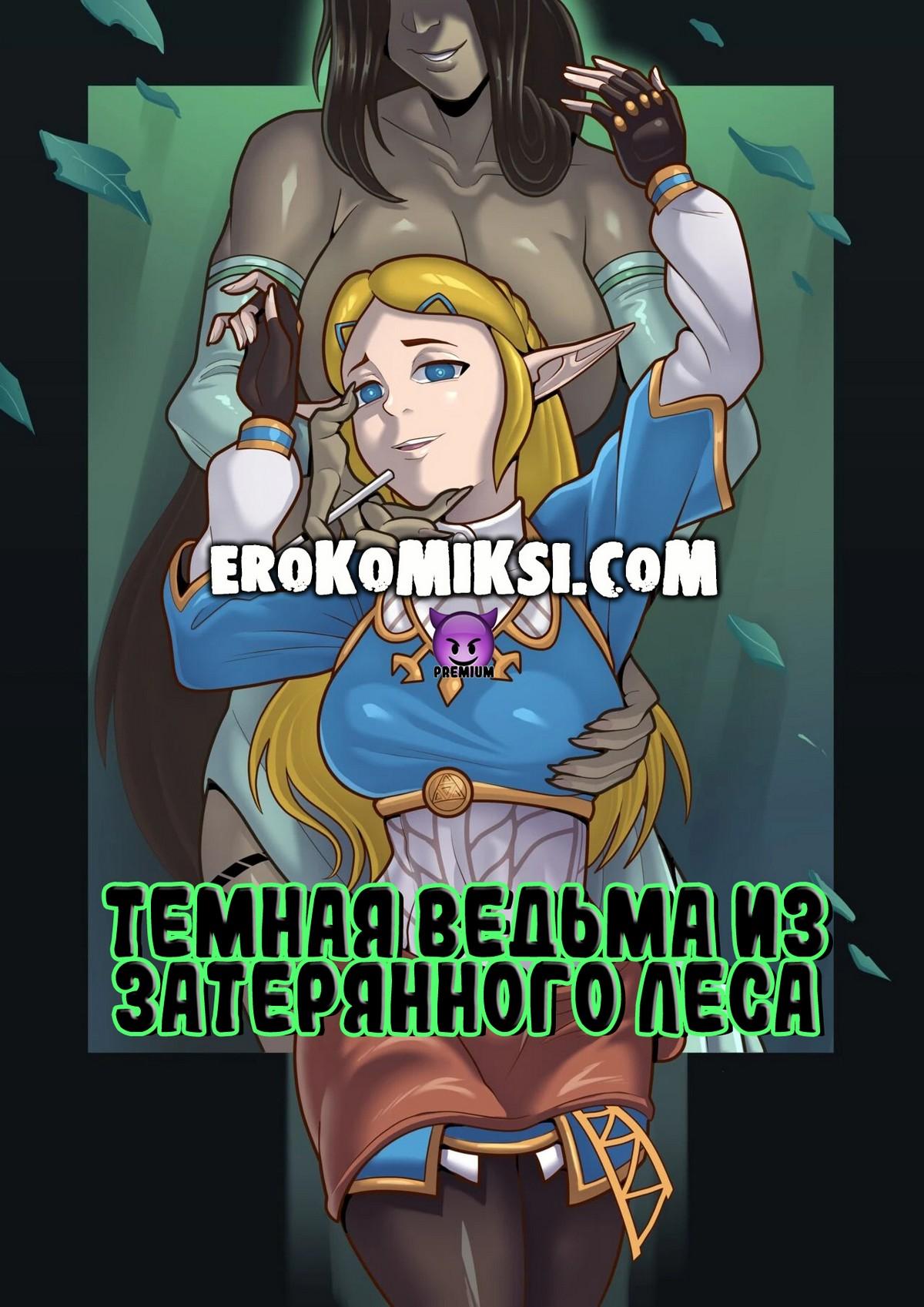 1-9 Порно комикс Легенда о Зельде. Темная ведьма из Затерянного леса.