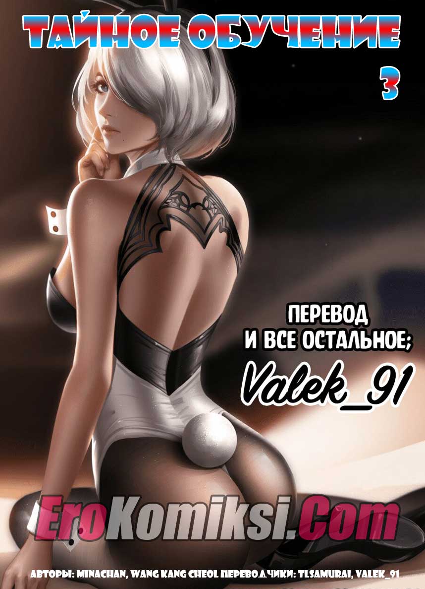 Порно комикс Тайное обучение. Часть 3.